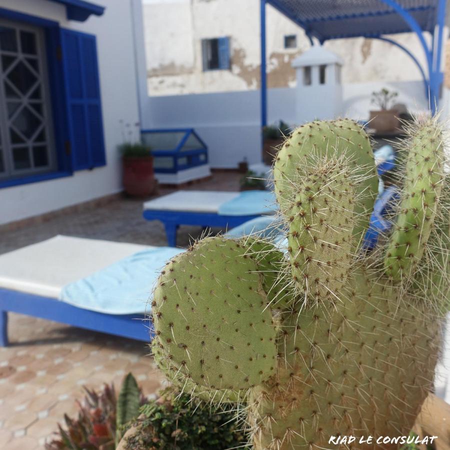 Riad Le Consulat - Private Riad For Family & Group, Breakfast Included, Skala Essaouira Luaran gambar